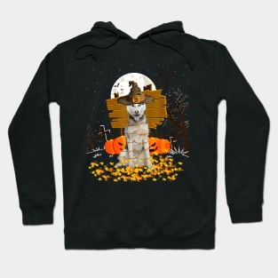 My Husky Pumpkins Halloween Dog Hoodie